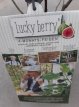 Ficus carica 'Lucky Berry'® 30/40 C5 Ficus carica 'Lucky Berry'® - 4 maanden lang vruchten! | Vijg 30/40 C5