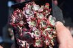 Sedum spathulifolium ‘Purpureum’ Sedum spathulifolium ‘Purpureum’ | Vetkruid 10 P9
